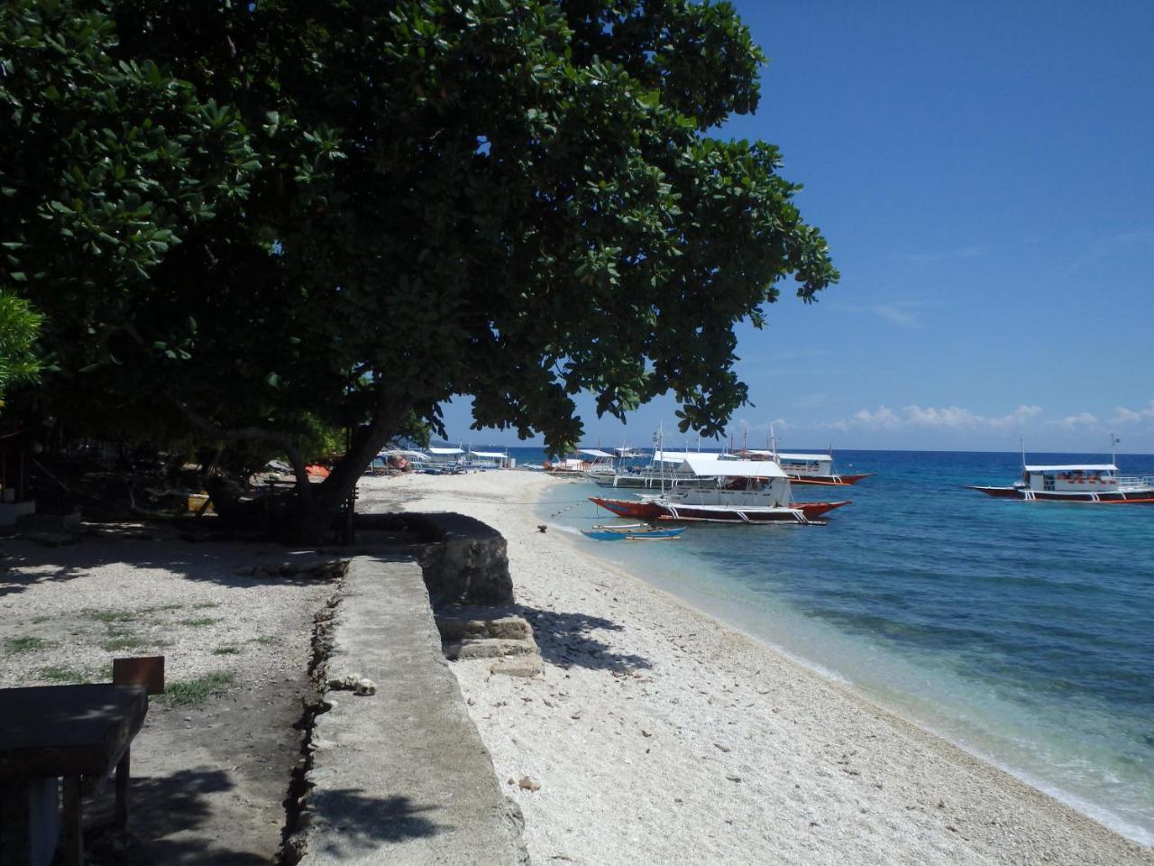 Island Front - Bangcogon Resort And Restaurant Oslob Exterior foto